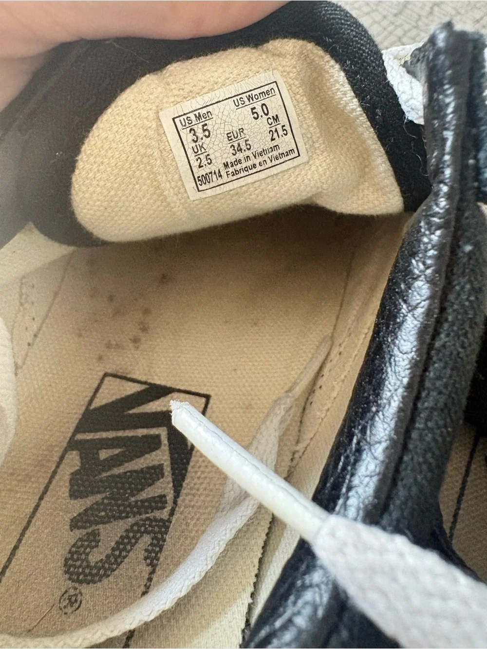 Vans Black Suede Low-Top Sneakers with White Stripe and Gum Sole